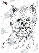 Teacup Yorkie Coloring Pages sketch template