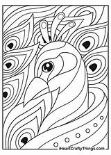 Paisley Peacock Coloring Pages sketch template
