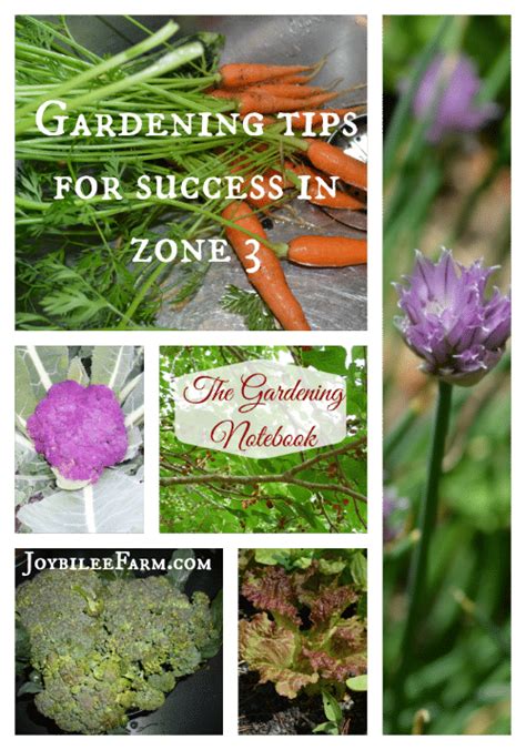 Gardening tips for zone 3: 20 vegetables you can grow