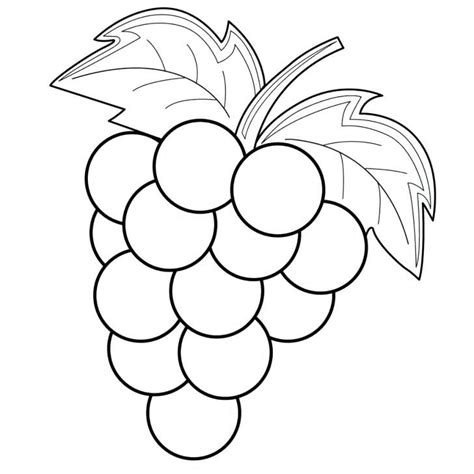 Grapes Colouring Pages