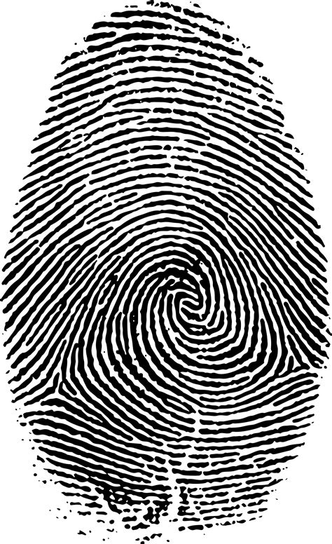 Fingerprint Vector Clipart image - Free stock photo - Public Domain photo - CC0 Images