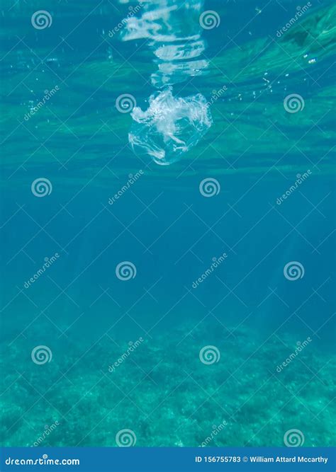 Plastic Litter in the Ocean Stock Image - Image of blue, seascape: 156755783