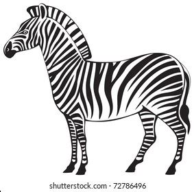 Zebra Vector Silhouette African Herbivore Wild: เวกเตอร์สต็อก (ปลอดค่า ...