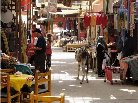 Luxor Souk - Egypt (With images) | Egypt, Travel fun, Travel spot