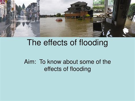 PPT - The effects of flooding PowerPoint Presentation, free download - ID:5437933