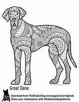10 Top Great Dane Coloring Pages sketch template