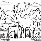 Elk Family In The Meadow Coloring Page  Pagescom sketch template