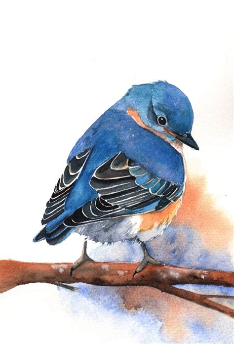 Bluebird Painting B029 Archival Print of bird watercolor