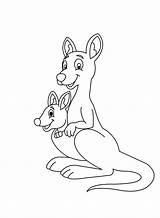 Cute Kangaroos coloring Page  Download Print Or Color Online For Free sketch template