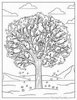 Free Coloring Pages Trees A World Of Colors Awaits sketch template
