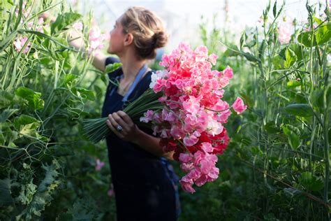 Floret Flowers - We are a small family farm in Washington's Skagit Valley