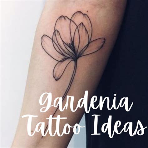 24+ Gardenia Tattoo Outline - KhamSheron