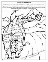 Colorado State Bird And Flower Coloring Pages sketch template
