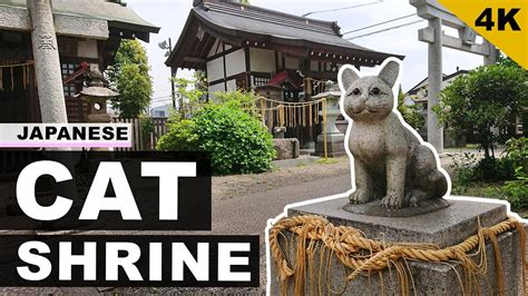 【4K】Amazing Japanese CAT SHRINE | Shinto Shrine Walk GoPro POV - YouTube