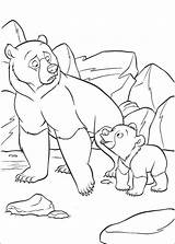 Brother Bear Coloring Pages & Books  100% FREE And Printable sketch template
