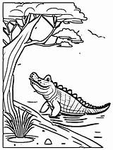 Crocodile Basking By Riverbank Coloring Page · Creative Fabrica sketch template