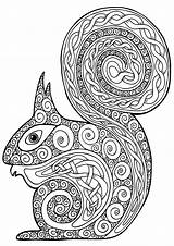 Gray Squirrel Coloring Page sketch template