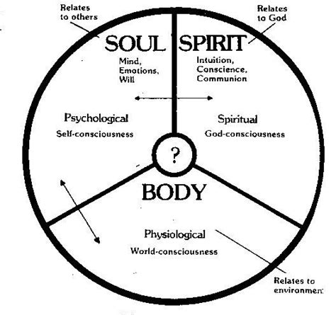 Spirit, Soul and Body. Do You Know How They Work Together?