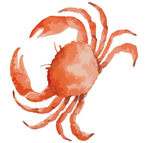 Crab clipart crab food, Crab crab food Transparent FREE for download on WebStockReview 2024
