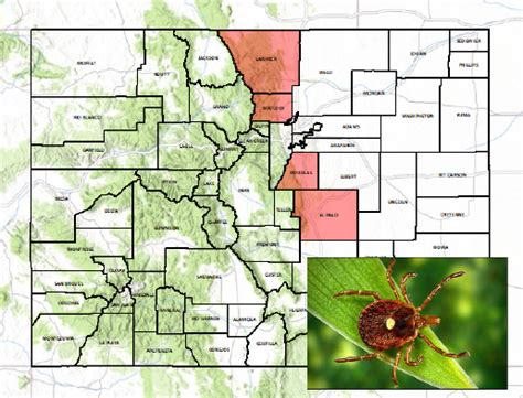 Colorado Tick-Borne Disease Awareness Association (COTBDAA) - Education ...