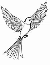 Flying Bird Coloring Pages sketch template