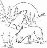 Wolf Couple At night coloring Page Download Print Online Pages  sketch template