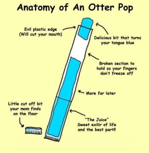 185 best Otter Pops images on Pholder | Harrypotter, Nostalgia and ...