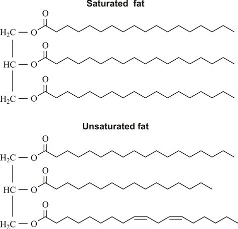 Saturated fat @ Chemistry Dictionary & Glossary