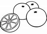 Oranges coloring Pages  Free Coloring sketch template
