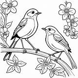 Pair Of Robins On Tree Branch coloring Page Lulu Pages sketch template