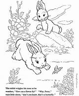 Rabbit Coloring Pages  Home sketch template