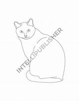 Purrfectly Coloring Pack SP sketch template