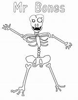 Skeletal System Coloring Page  Home sketch template
