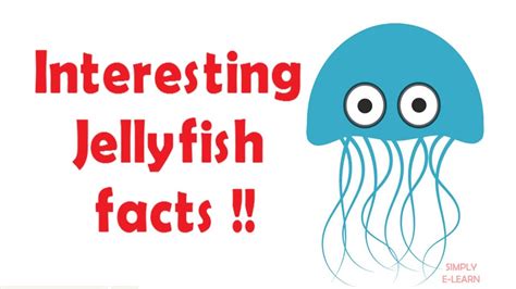 Jellyfish facts for kids - facts about jellyfish for kids - Simply E-learn Kids - YouTube