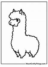 Llama Coloring Pages Images sketch template