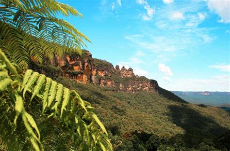 From Sydney: Blue Mountains Nature and Wildlife Tour | GetYourGuide