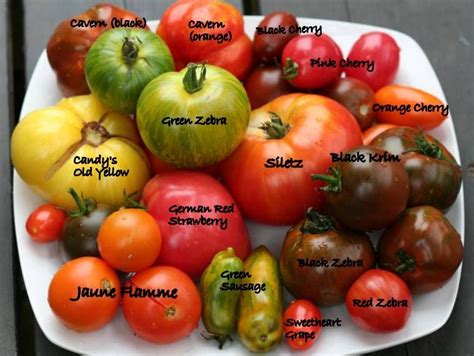 A selection of some Heirloom Tomatoes and their names! | Heirloom ...