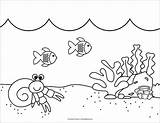 50 Ocean Coloring Pages For Kids To Print Free sketch template