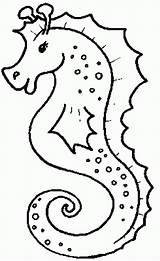 Get This Printable Seahorse Coloring Pages 70550 sketch template