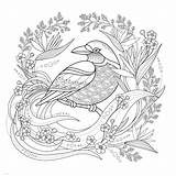 Printable Coloring Pages For Adults Birds sketch template