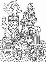 Succulent coloring Pages sketch template