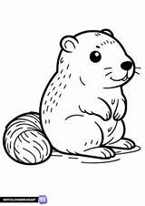 Groundhog Day coloring Pages  Bestcoloringpagesnet sketch template