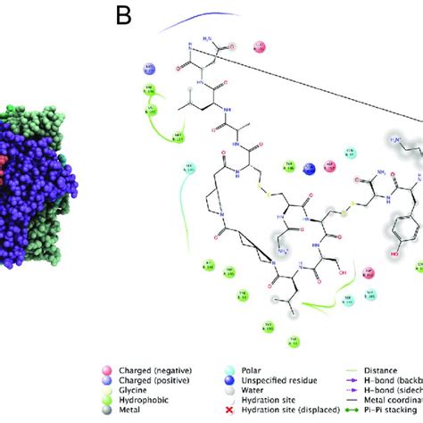 Structure-guided design of venom peptides. (A) Structure of... | Download Scientific Diagram