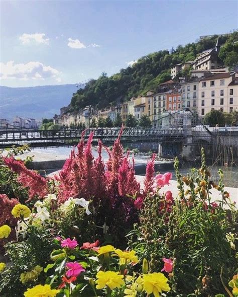 colorful flowers in the foreground with a bridge and buildings in the ...