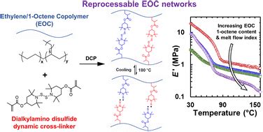 Novel covalent adaptable networks (CANs) of ethylene/1-octene ...