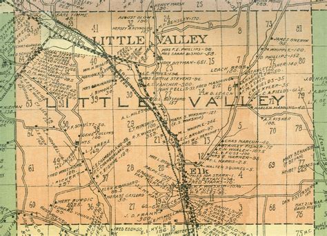 Cattaraugus County, NY Wall Map (1916)