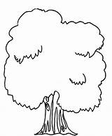 Tree Coloring Pages PDF Ideas For Children  Coloringfoldercom sketch template
