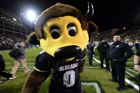 Colorado Buffaloes move up to No. 12 in CFB Playoff Rankings - The ...