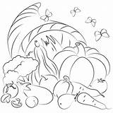 Cornucopia coloring page  Free Printable Coloring Pages sketch template