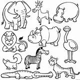Wild Animal Crocodile Coloring Page » Turkau sketch template